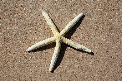 复古街机游戏《速限》Steam新史低 仅需9.25元